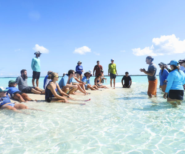 Image of students learning on the beach at the Island School
