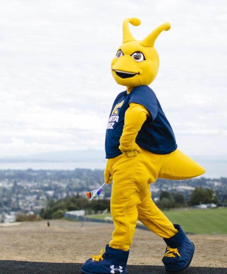 Image of the Banana Slug, UNC Santa Cruz's mascot