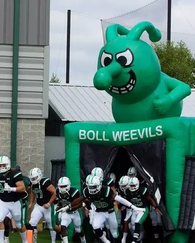 Image of the Boll Weevil, University of Arkansas at Monticello's mascot
